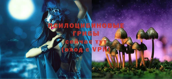 spice Абаза